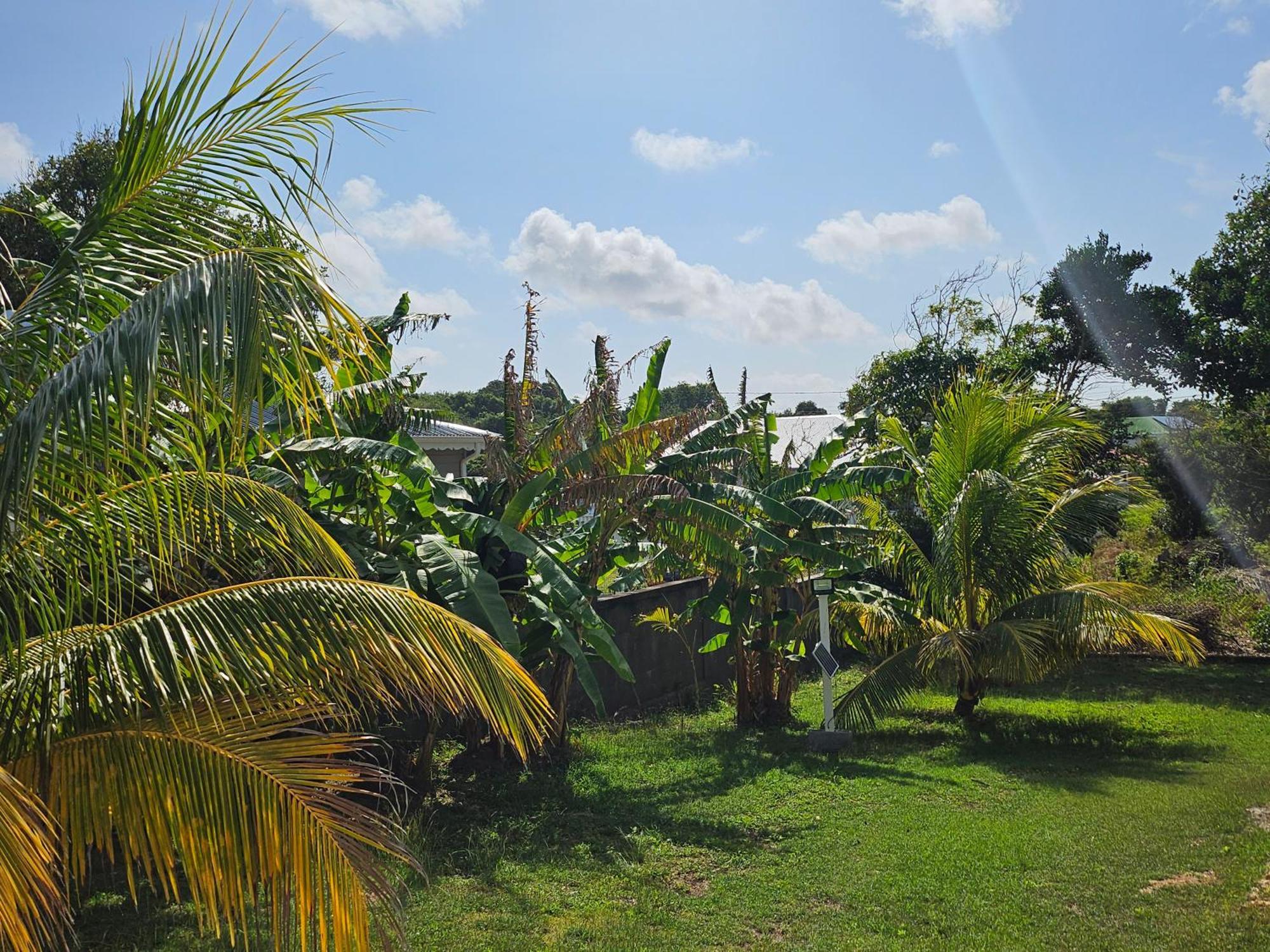 Bungalow Bo Sicrie Le Moule Bagian luar foto